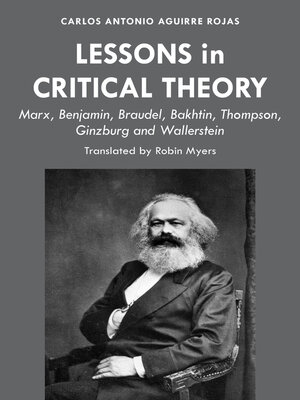 cover image of Lessons in Critical Theory